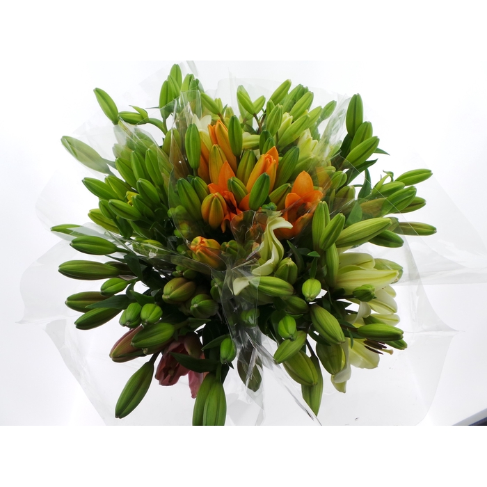 <h4>BQ Mono Lelie Aziaat x5 mix 60cm</h4>