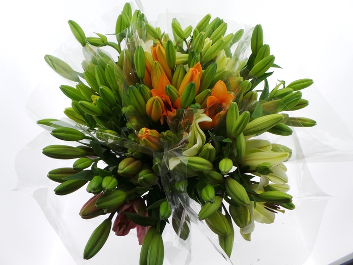 <h4>Bouquet Mono Lelie Aziaat x5 mix 60cm</h4>