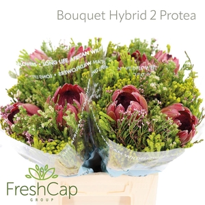 Bouquet Hybrid 2 Protea