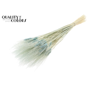 Triticum Beard per bunch Bleached Light Blue