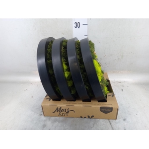 Decoratieve materialen   ...H%