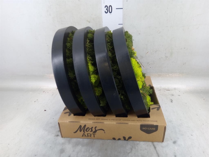 <h4>Decoratieve materialen   ...H%</h4>