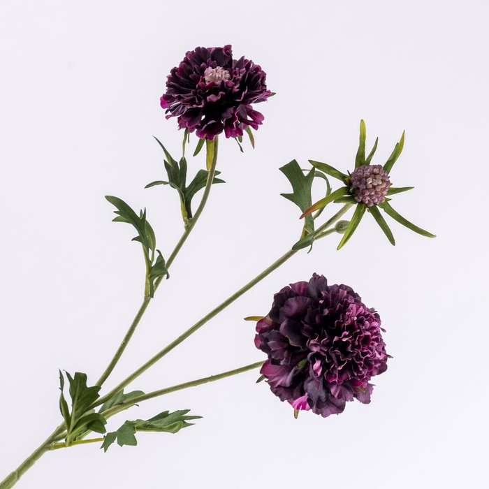 <h4>Scabiosa Spray Purple Dark FL440345DPU</h4>