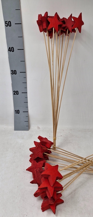 <h4>BIJSTEKERS H%</h4>