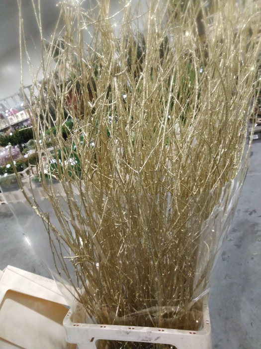 <h4>Betula L120 Mtlc Gold + Glitter</h4>