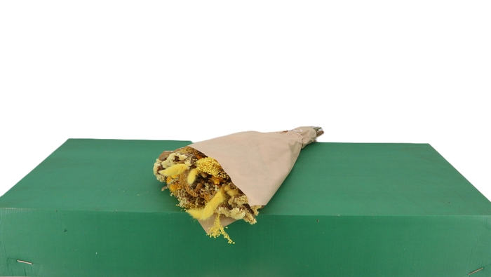 <h4>DRIED BOUQUET YELLOW 50CM BOX</h4>