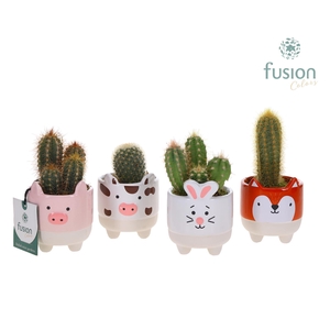 Boerderijdieren keramiek met Cactussen