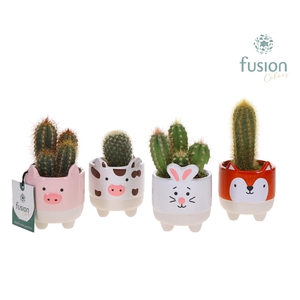 Keramiek boerderijdieren met Cactussen