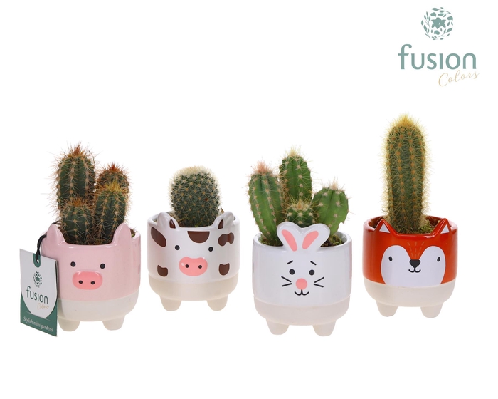 <h4>Keramiek boerderijdieren met Cactussen</h4>