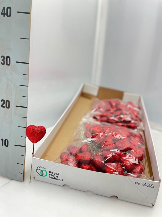 <h4>HUIS EN TUINDECO H%</h4>