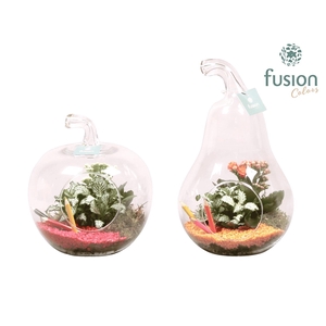 Peer en Appel glas met kamerplanten back to school