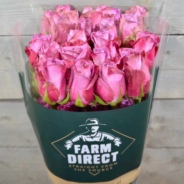 <h4>R Gr Moody Blues</h4>