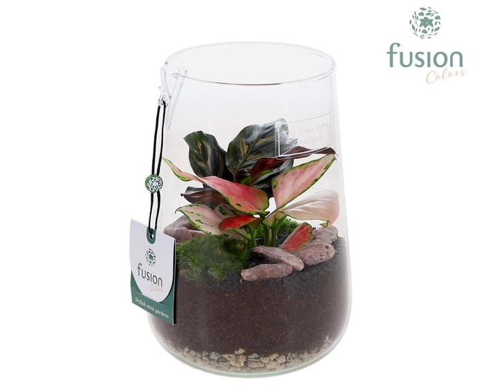 <h4>Green Bottle Deline Medium met groene planten</h4>