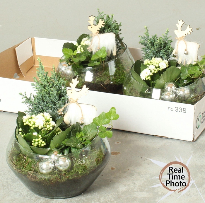 <h4>ARR KAMERPL</h4>