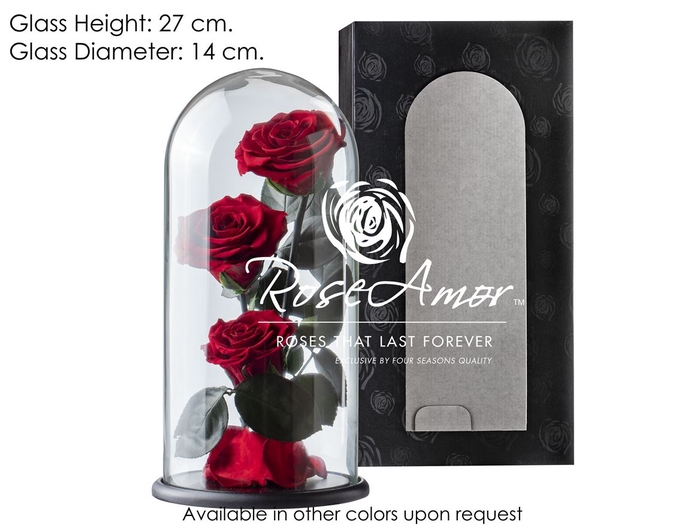 Dome Valentina Red01 Bulk