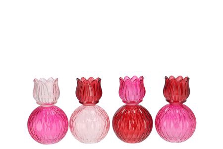 <h4>Bicolore Dutch Pink Mix Tulip T-light Ass 11x17cm</h4>