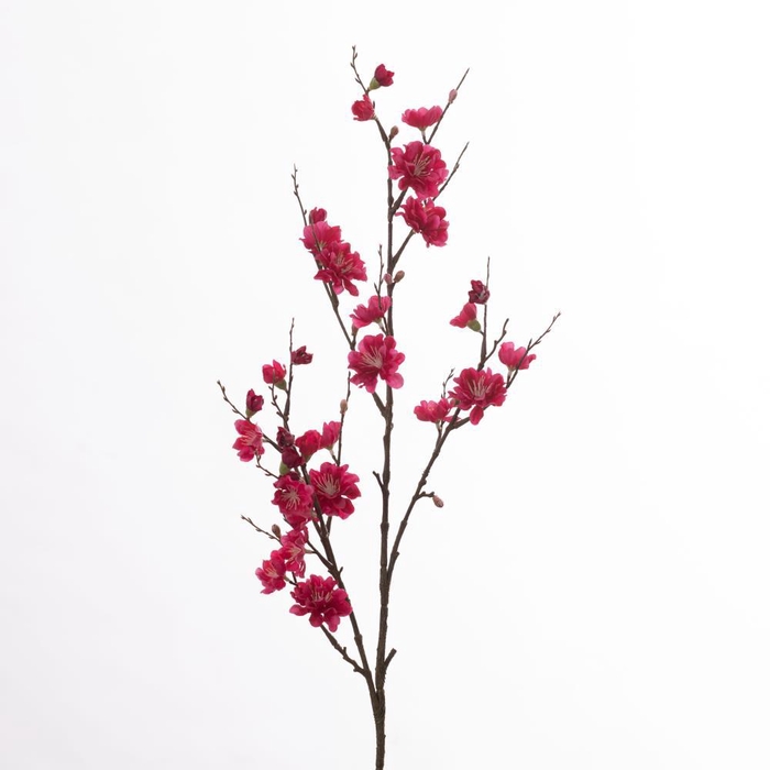 <h4>AF Prunus L86cm Beauty</h4>