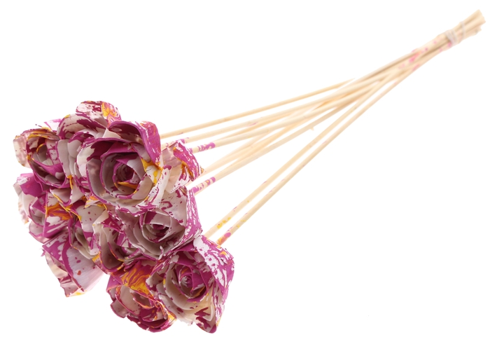 Shola Dear Holly 6cm on stem Multicolour Cerise/Yellow