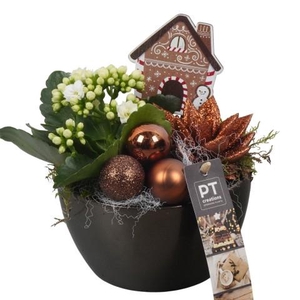 PTCHB9704 Arrangementen Kerst