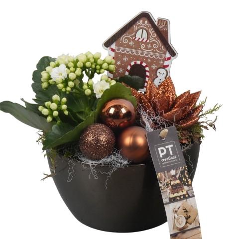 <h4>PTCHB9704 Arrangementen Kerst</h4>