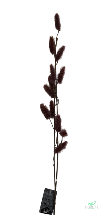 SILK FLOWERS - MINI TAIL SPRAY BROWN 101CM