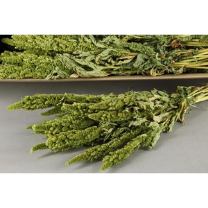 Df Amaranthus Green Bs 125g