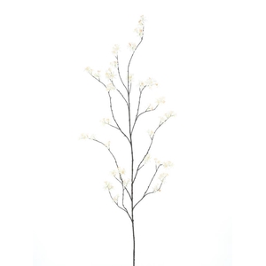 Wild peach blossom branch Blois165c