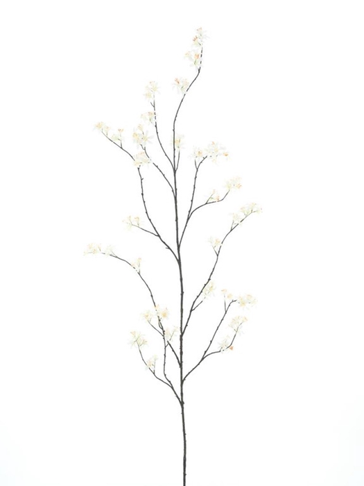 <h4>Wild peach blossom branch Blois165c</h4>