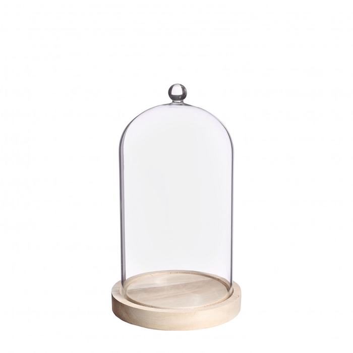 Glass Cloche knob+wood d14*23.5cm