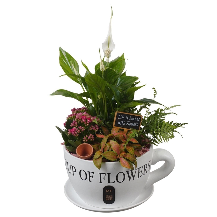 <h4>Arr.    Planten  H%</h4>