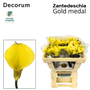 Zant Gold Medal