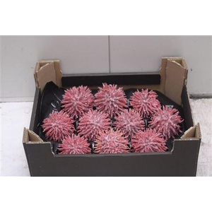 F-stekel Glitter Kerst Rood