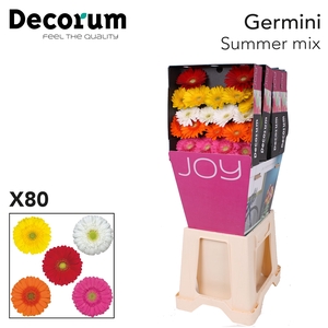 Germini Mix Summer Diamond