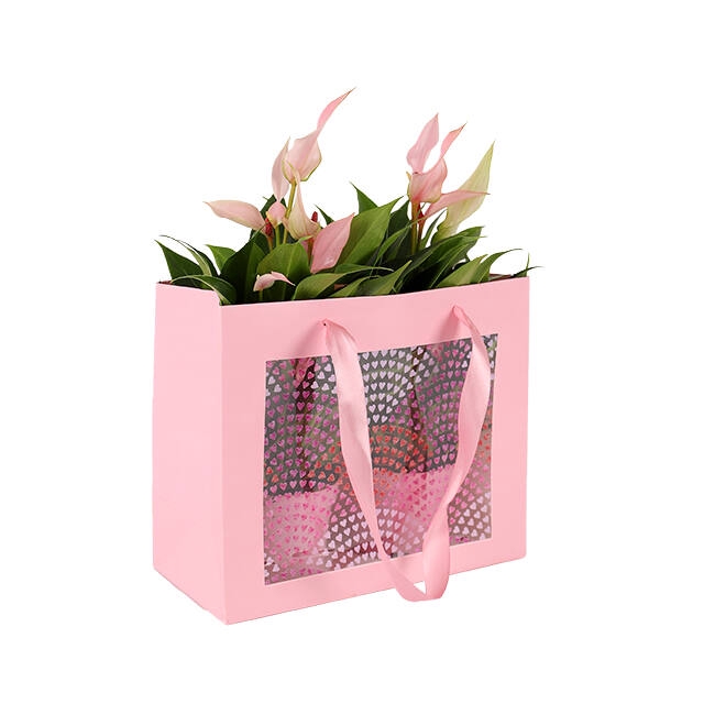 <h4>Bag Happy Hearts 24x11xH20cm pink 10/bag</h4>
