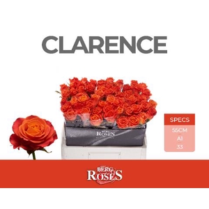 R GR CLARENCE+
