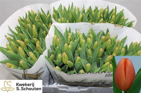 <h4>Tu En Orange Juice</h4>