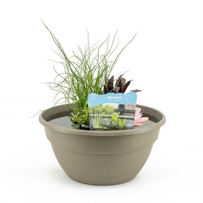 Terrasschaal Taupe met mixmand