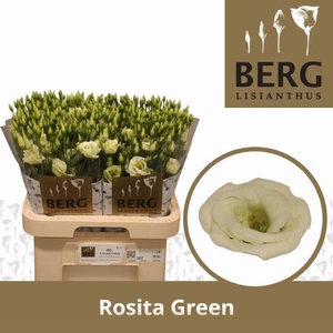 Eust Rosita Green