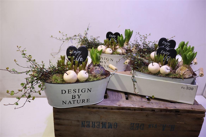 <h4>arr8 Arr Bol Knol In Zinken Hengsel Bak Ovaal</h4>