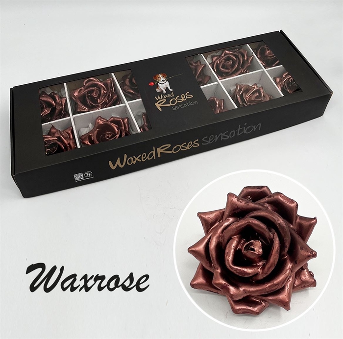 <h4>Zijde R Wx (bl) Koper</h4>