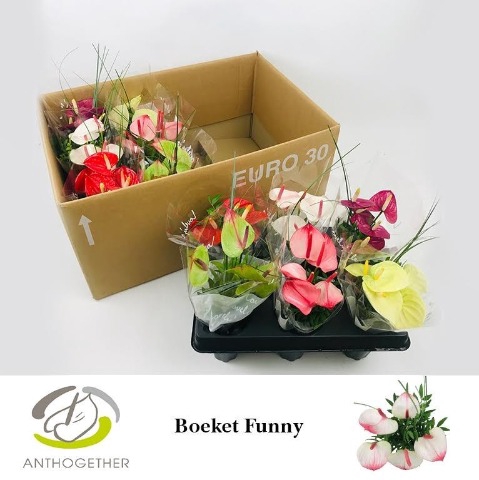 <h4>Funny Boeket 5 bloem 12.</h4>