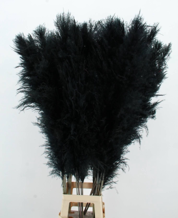 <h4>DF Pampas 130cm Black</h4>