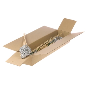 Berry Clus O/s Sb Silver