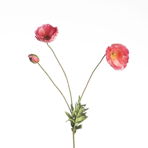 AF Papaver L75cm Pink