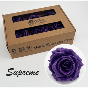 Zijde R Supreme Paars Wx