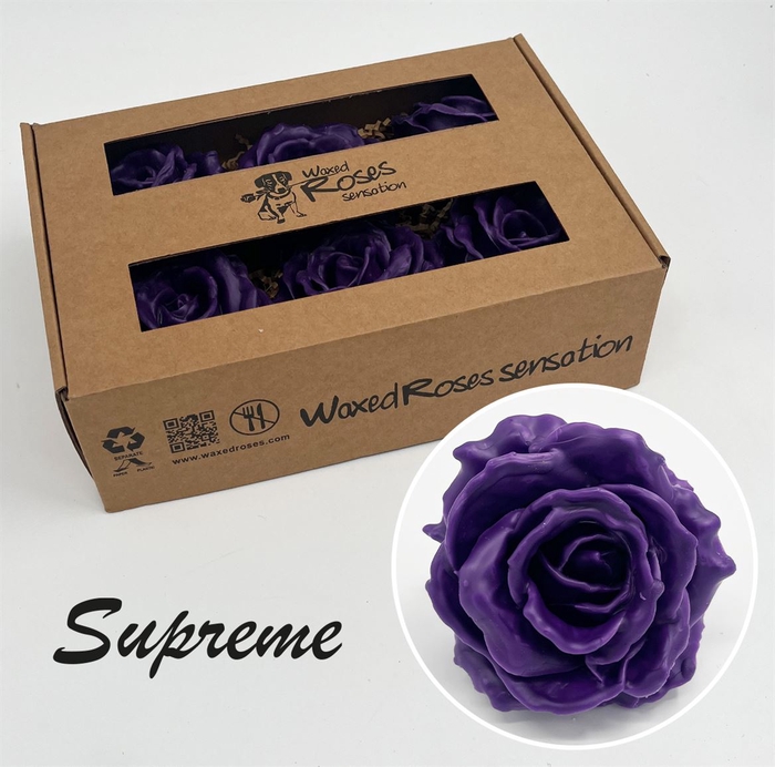 Zijde R Supreme Paars Wx
