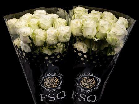 <h4>R Gr Siente</h4>