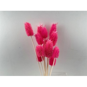 Pres Cardo Mini Roze 12pcs Bunch