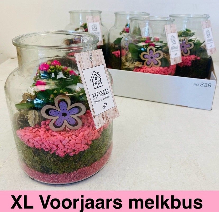 <h4>ARR KAMERPL</h4>