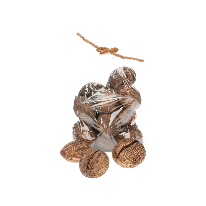 <h4>Dried articles Mintolla ball 6-10cm x20</h4>